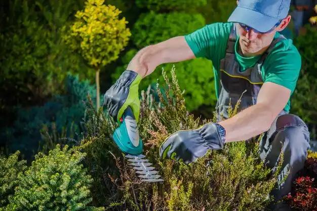 landscaping services Turners Falls